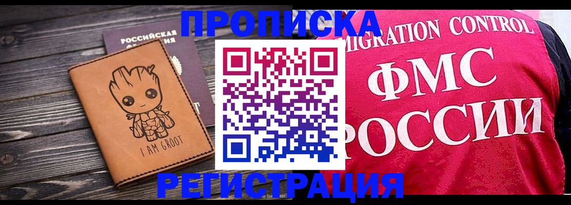 прописка 2025 в Купино